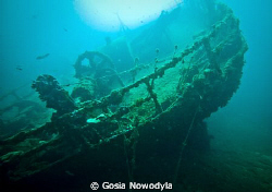 TETI wreck near VIS island. by Gosia Nowodyla 
